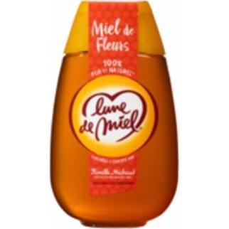 4743 Miel Fleur liquide 500g 12x9.50